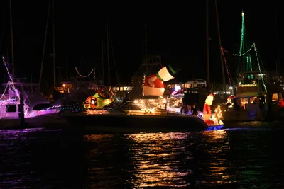 DSC_2468 (Large).JPG